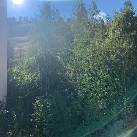 Les 2 Alpes Centre Station דירה *